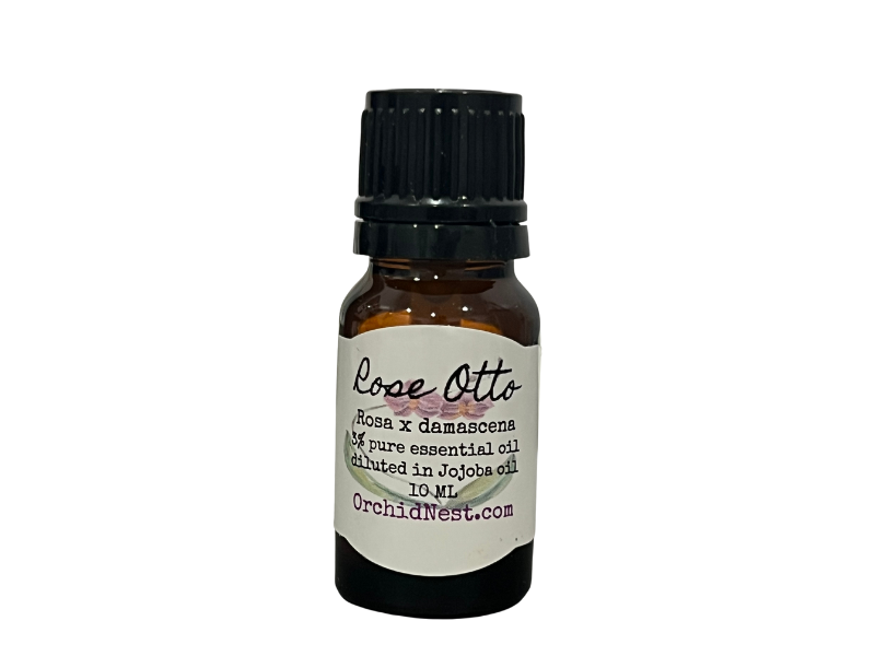 Rose Otto Essential Oil - Welcome to the Orchid Nest